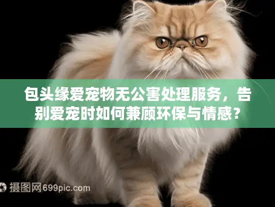 包头缘爱宠物无公害处理服务，告别爱宠时如何兼顾环保与情感？