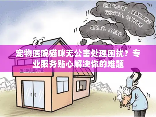 宠物医院猫咪无公害处理困扰？专业服务贴心解决你的难题