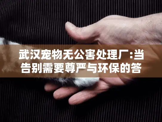 武汉宠物无公害处理厂:当告别需要尊严与环保的答案