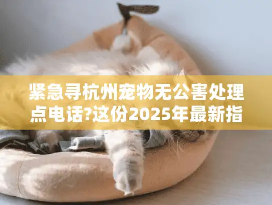 紧急寻杭州宠物无公害处理点电话?这份2025年最新指南请收好