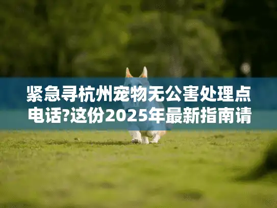 紧急寻杭州宠物无公害处理点电话?这份2025年最新指南请收好