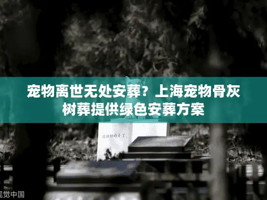 宠物离世无处安葬？上海宠物骨灰树葬提供绿色安葬方案