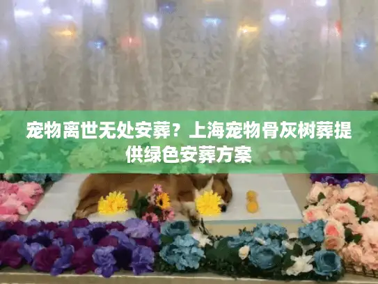 宠物离世无处安葬？上海宠物骨灰树葬提供绿色安葬方案