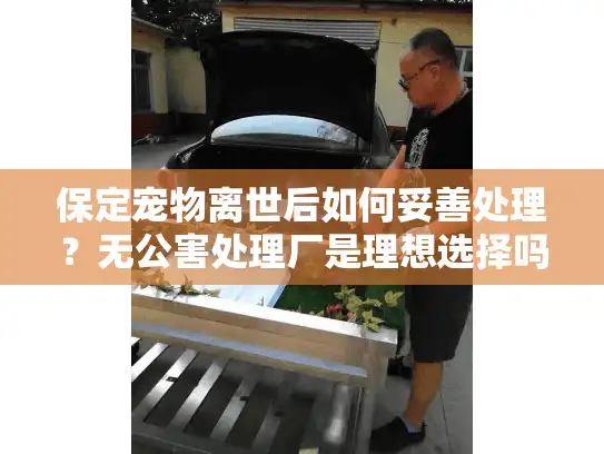保定宠物离世后如何妥善处理？无公害处理厂是理想选择吗？