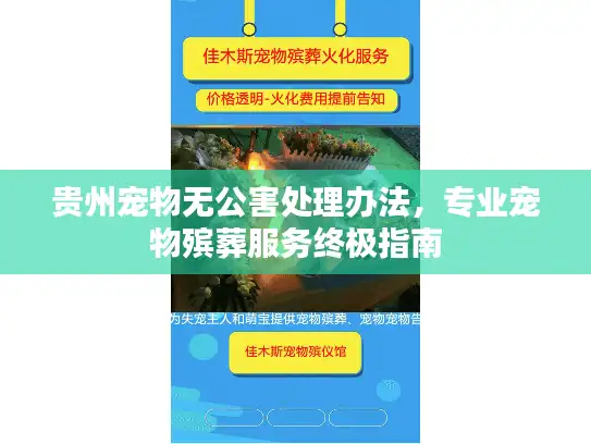 贵州宠物无公害处理办法，专业宠物殡葬服务终极指南