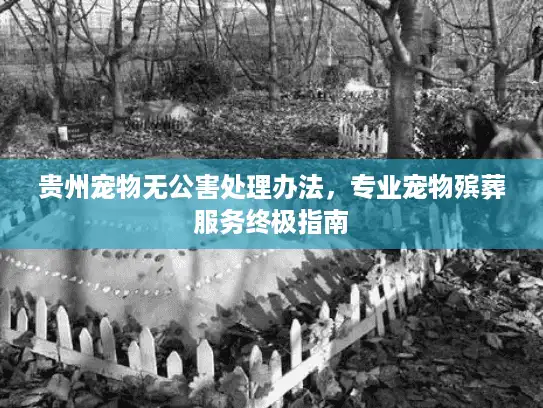 贵州宠物无公害处理办法，专业宠物殡葬服务终极指南