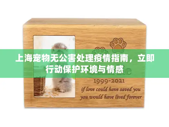 上海宠物无公害处理疫情指南，立即行动保护环境与情感