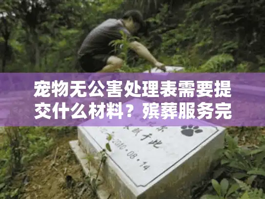 宠物无公害处理表需要提交什么材料？殡葬服务完整流程解析