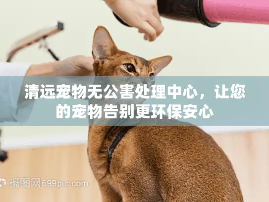 清远宠物无公害处理中心，让您的宠物告别更环保安心