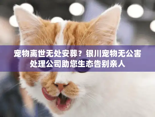 宠物离世无处安葬？银川宠物无公害处理公司助您生态告别亲人