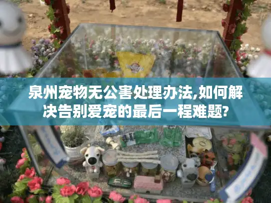 泉州宠物无公害处理办法,如何解决告别爱宠的最后一程难题?