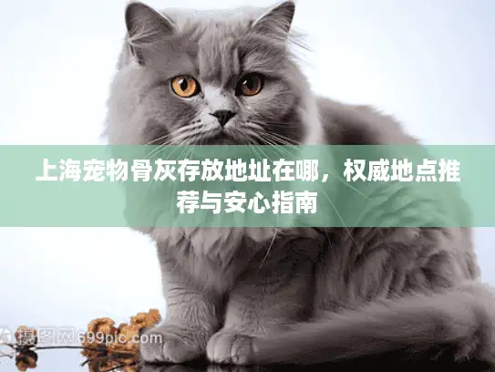 上海宠物骨灰存放地址在哪，权威地点推荐与安心指南