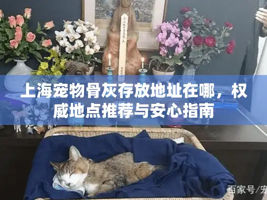 上海宠物骨灰存放地址在哪，权威地点推荐与安心指南