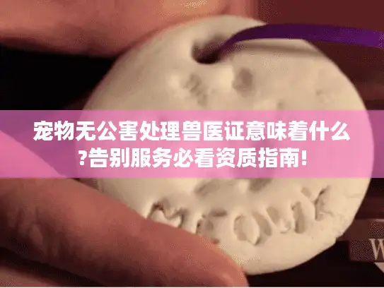 宠物无公害处理兽医证意味着什么?告别服务必看资质指南!