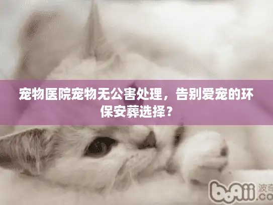 宠物医院宠物无公害处理，告别爱宠的环保安葬选择？