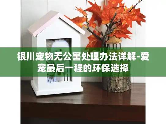 银川宠物无公害处理办法详解-爱宠最后一程的环保选择