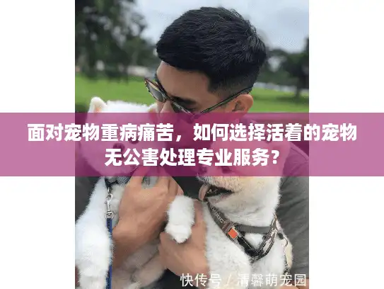 面对宠物重病痛苦，如何选择活着的宠物无公害处理专业服务？