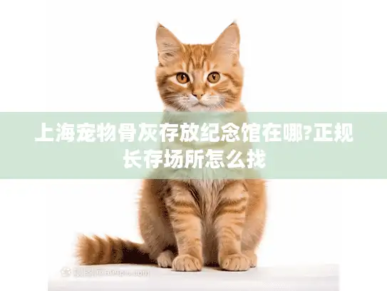 上海宠物骨灰存放纪念馆在哪?正规长存场所怎么找