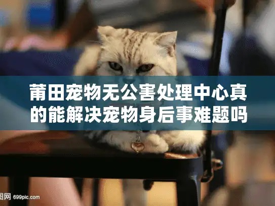 莆田宠物无公害处理中心真的能解决宠物身后事难题吗?