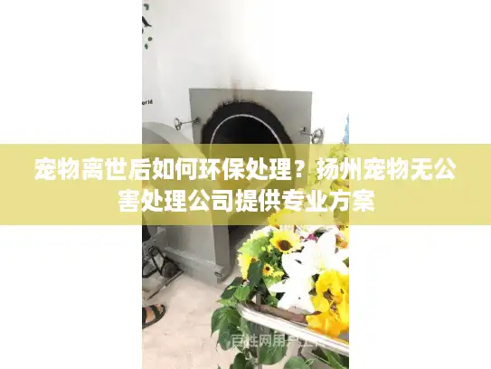 宠物离世后如何环保处理？扬州宠物无公害处理公司提供专业方案