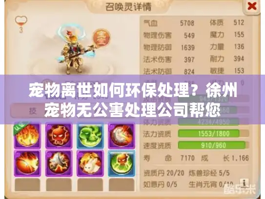 宠物离世如何环保处理？徐州宠物无公害处理公司帮您