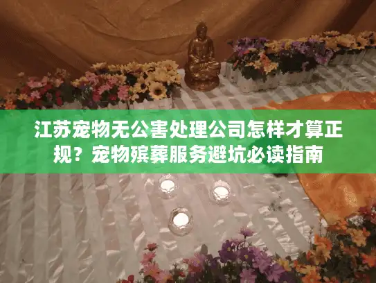 江苏宠物无公害处理公司怎样才算正规？宠物殡葬服务避坑必读指南