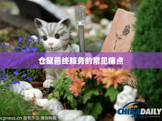 仓鼠善终服务的常见痛点
