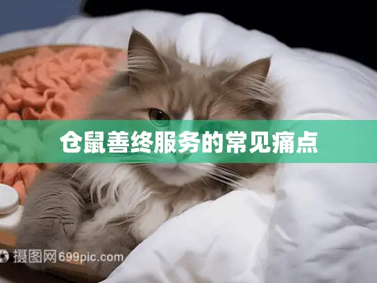 仓鼠善终服务的常见痛点