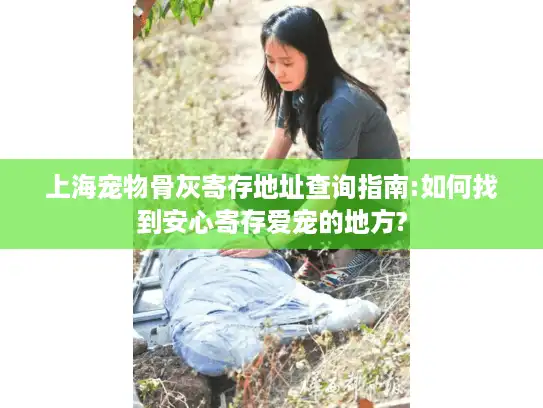 上海宠物骨灰寄存地址查询指南:如何找到安心寄存爱宠的地方?