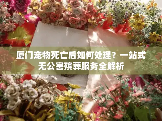 厦门宠物死亡后如何处理？一站式无公害殡葬服务全解析