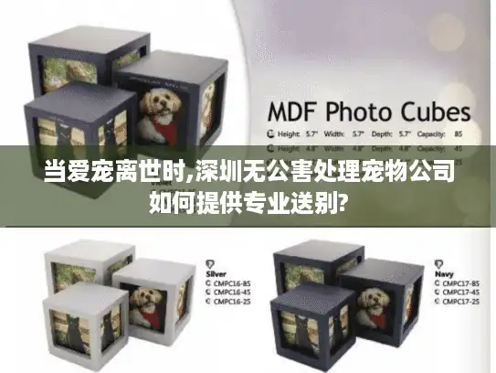 当爱宠离世时,深圳无公害处理宠物公司如何提供专业送别?