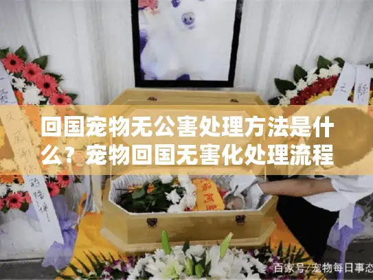 回国宠物无公害处理方法是什么？宠物回国无害化处理流程详解