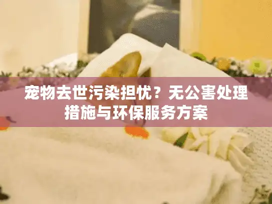 宠物去世污染担忧？无公害处理措施与环保服务方案