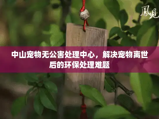 中山宠物无公害处理中心，解决宠物离世后的环保处理难题