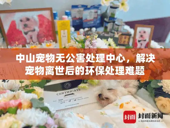中山宠物无公害处理中心，解决宠物离世后的环保处理难题