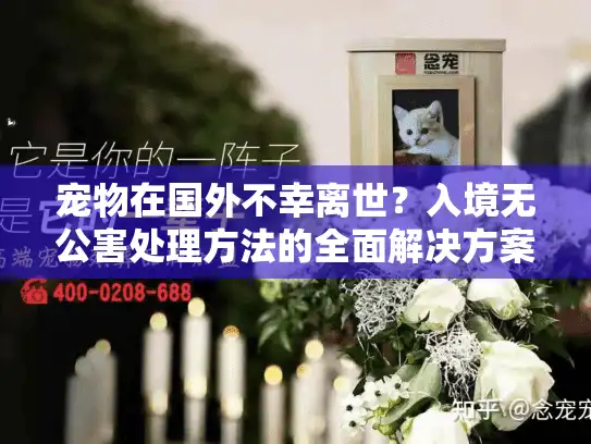 宠物在国外不幸离世？入境无公害处理方法的全面解决方案指南
