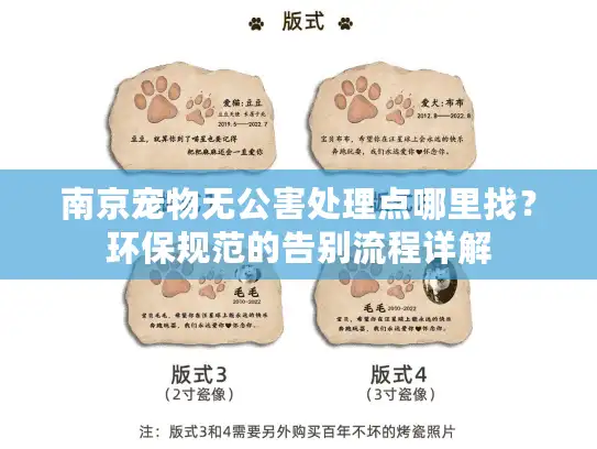 南京宠物无公害处理点哪里找？环保规范的告别流程详解