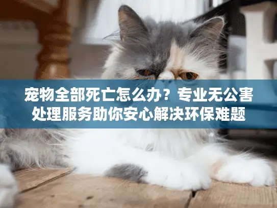宠物全部死亡怎么办？专业无公害处理服务助你安心解决环保难题