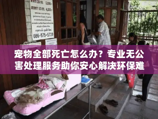 宠物全部死亡怎么办？专业无公害处理服务助你安心解决环保难题