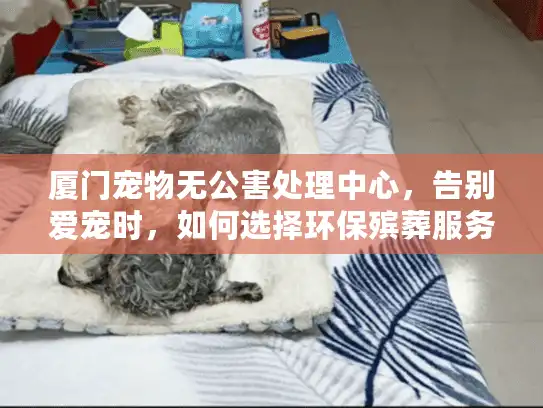 厦门宠物无公害处理中心，告别爱宠时，如何选择环保殡葬服务？