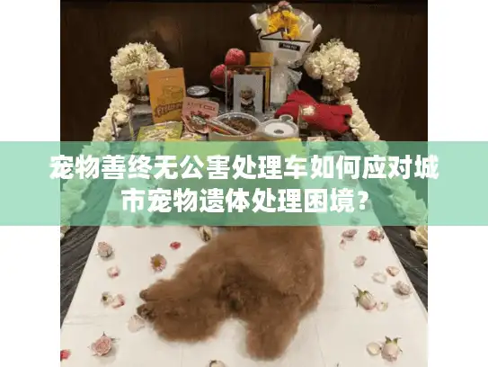 宠物善终无公害处理车如何应对城市宠物遗体处理困境？