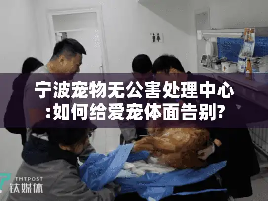 宁波宠物无公害处理中心:如何给爱宠体面告别?