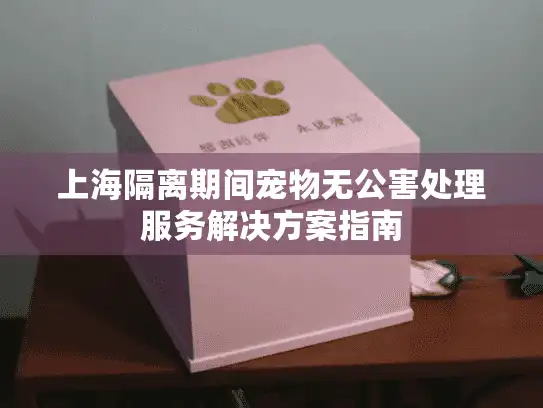 上海隔离期间宠物无公害处理服务解决方案指南