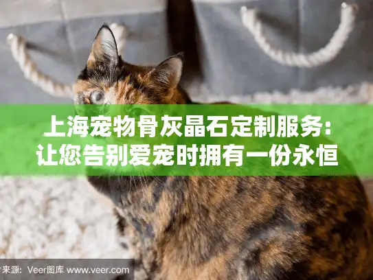 上海宠物骨灰晶石定制服务:让您告别爱宠时拥有一份永恒纪念