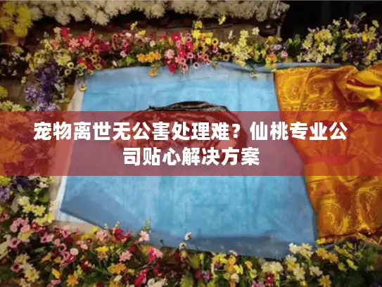 宠物离世无公害处理难？仙桃专业公司贴心解决方案
