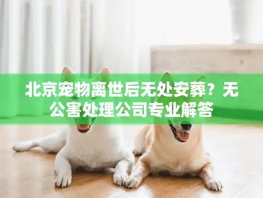 北京宠物离世后无处安葬？无公害处理公司专业解答