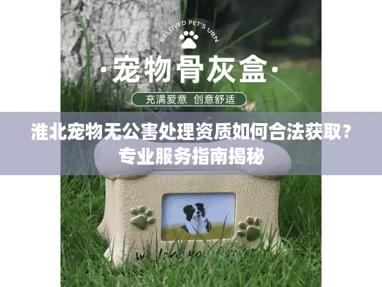 淮北宠物无公害处理资质如何合法获取？专业服务指南揭秘