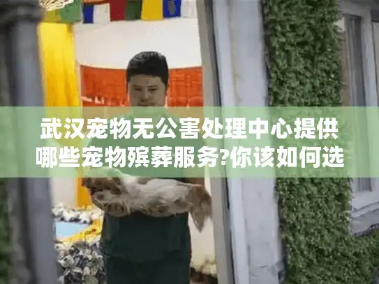 武汉宠物无公害处理中心提供哪些宠物殡葬服务?你该如何选择