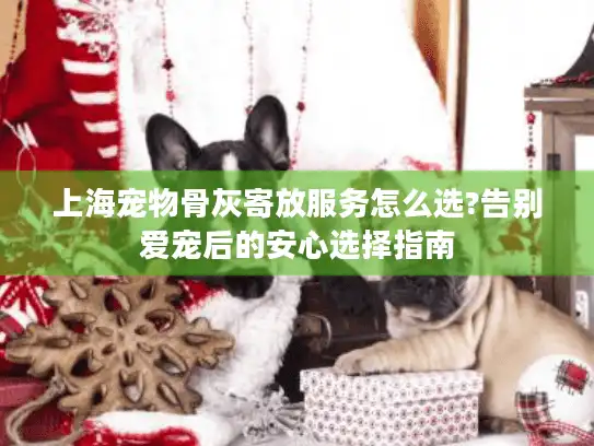 上海宠物骨灰寄放服务怎么选?告别爱宠后的安心选择指南