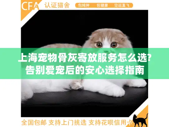 上海宠物骨灰寄放服务怎么选?告别爱宠后的安心选择指南